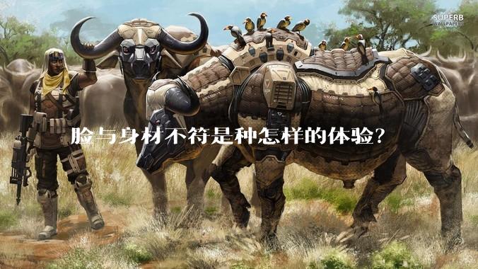 脸与身材不符是种怎样的体验？