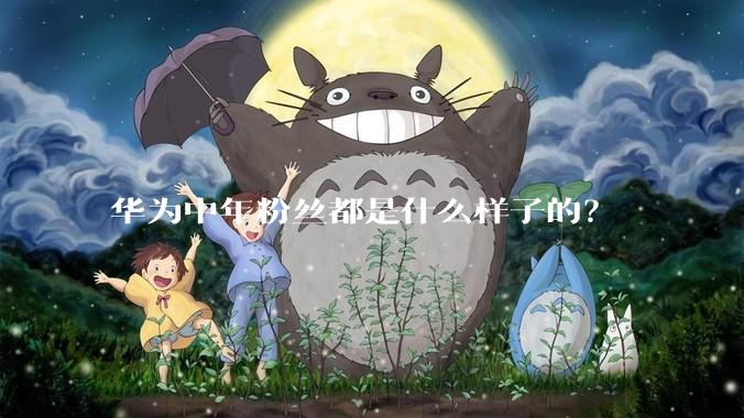 华为中年粉丝都是什么样子的？