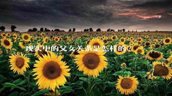 现实中的父女关系是怎样的?